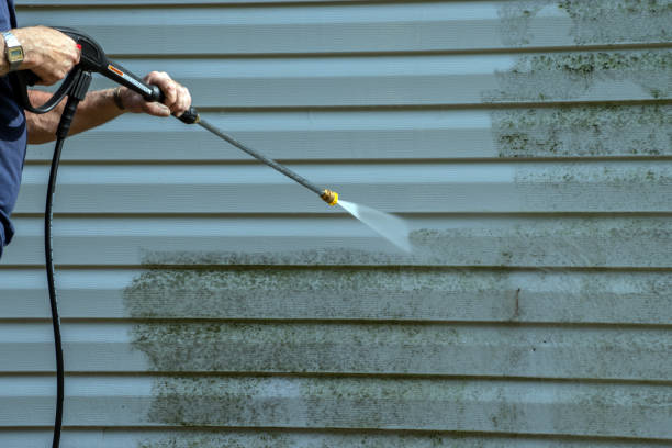 Best Sidewalk and Walkway Cleaning  in Rio, WI